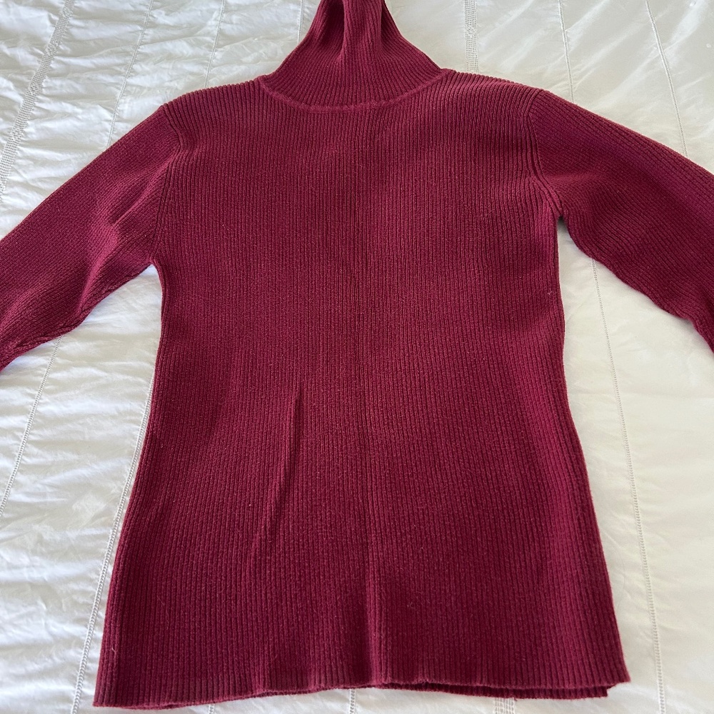 Hechter Burgundy Turtle Neck